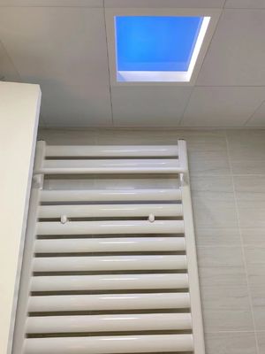 kopen Energiebesparende witte kunstmatige LED-luchtscherm met brede lichtdekking en 50000 uur levensduur van de lichtbron online vervaardiging