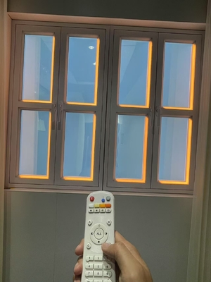 kopen 100-240V Spanning Valse Vensterpaneel voor natuurlijk zonlicht en blauwe hemel online vervaardiging