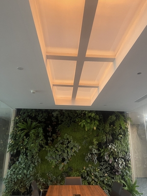 kopen Rectangle Faux Skylight Panels 220mm Highness Customizable Solutions online vervaardiging