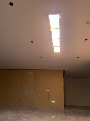 Kopen 66 mm ultradun paneel voor dakramen met LED, DALI & Smart App-bediening en hoge CRI 95+ voor realistisch daglicht online vervaardiging