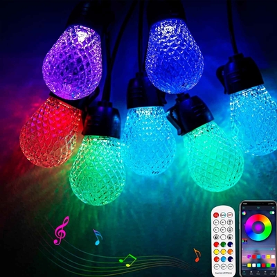 Dimbare 48ft RGB String Light Waterdicht DC12V 15 Lampen App-bediening