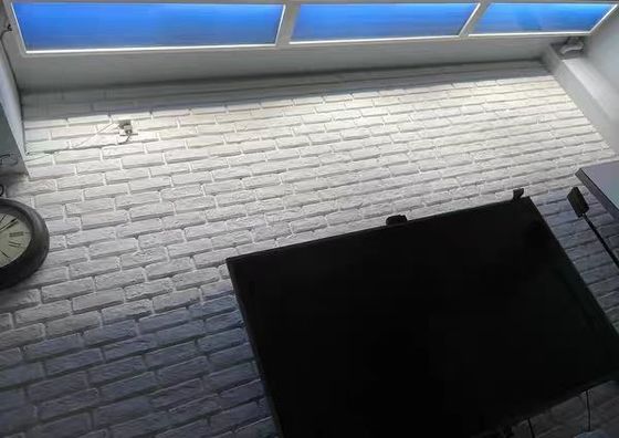 110VAC Virtueel Kunstmatig LED Dakraampaneel Dimmen 60x120 CCT 6500K 8000lm