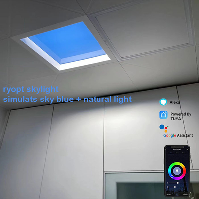 Vermogenfactor 0,9 Led plafondpaneel lampen voor thuis therapie lamp voor ouderen en jongeren