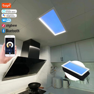 Plafond gemonteerd Led Flat Panel nachtlicht met Dali ondersteuning en gemonteerde manier