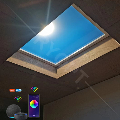 LEIDENE van 60*60 300W Oppervlakte Opgezette Comité Lichtblauwe Hemellamp voor Huis