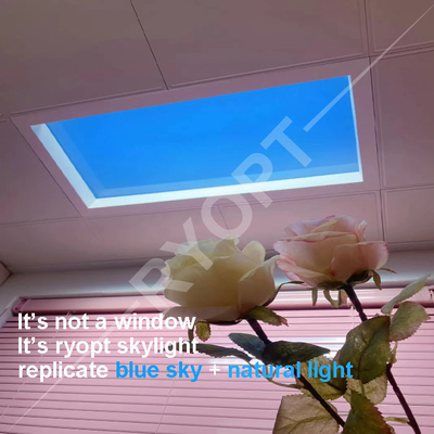 120x30 het Zonlichtcomité 110V 220V van de daglichtsimulator Kunstmatige Blauwe Hemel