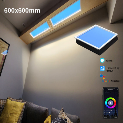 Het kunstmatige Blauwe Hemel Geleide Comité 600x600 Dimmable Uiterst dunne Dali 1V-10V van het Dakraamplafond