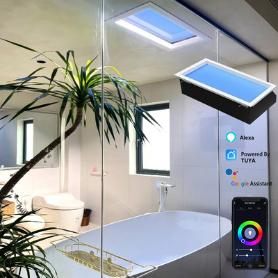 AC 100-240V Spanningsbehandeling Lamp LED Plafondpaneel Licht Voor Huis Oudere En Jongere