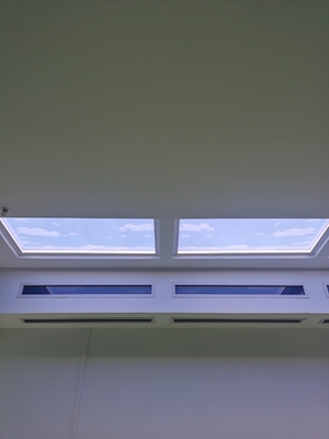Intensiteit 240W Wit licht Kunstmatig LED dakraam Breed bereik AC110-230V Voeding