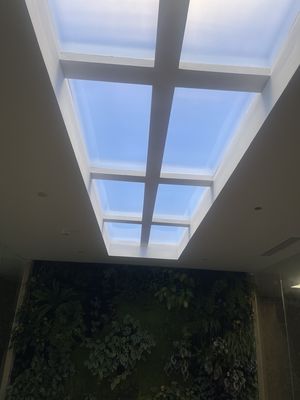 Ingebouwde kunstmatige LED-lichtkoepel voor 150W stroomverbruik LED-lichtbron en ingebouwde installatiemethode