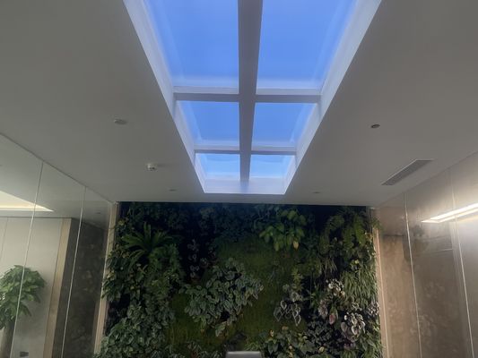 Wit licht kleur ingebed kunstmatig LED dakraam 12 kg ingebed installatie methode voor commerciële